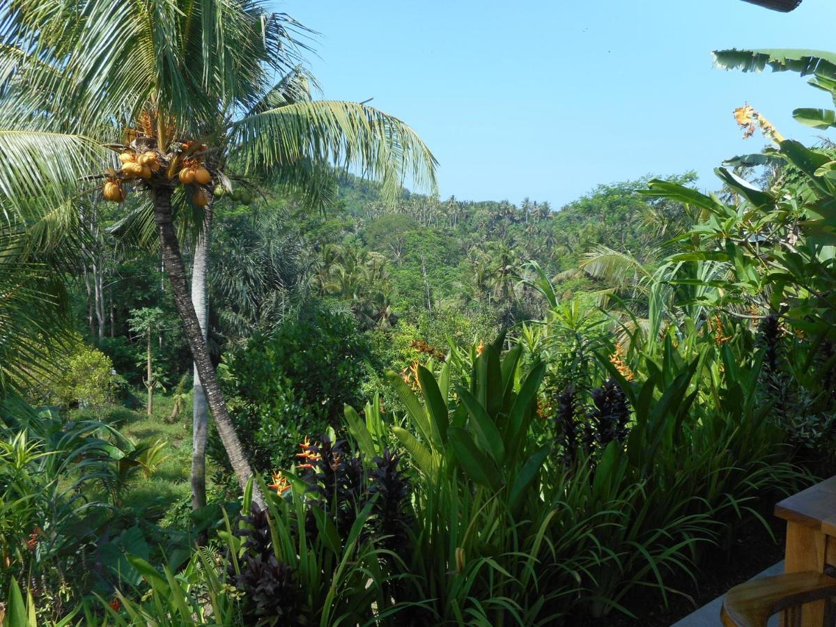 Cegeng Lestari Guesthouse Sidemen  Exterior foto